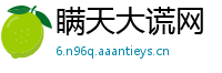 瞒天大谎网